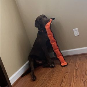 Meet your Posher, Lucas